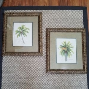 Framed Canary Island Palms Artwork of Date Palm